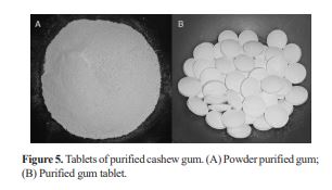 Two photos showing cashew gum and pressed tablets out of it