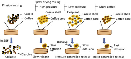 Stages of spray-drying with different pressure as a chart