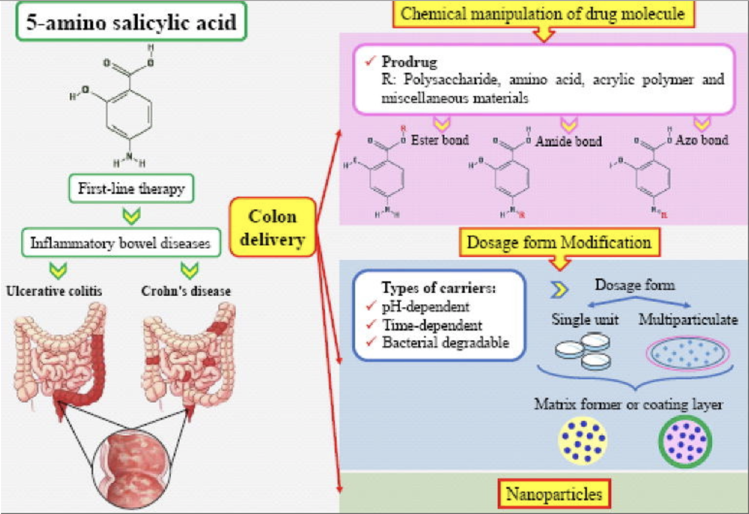 Overview graphic colon targeted oral drug delivery systems