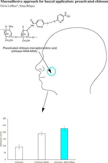 Preactivated chitosan for buccal application
