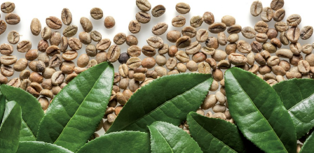 Taste masked natural caffeine - Pharma Excipients