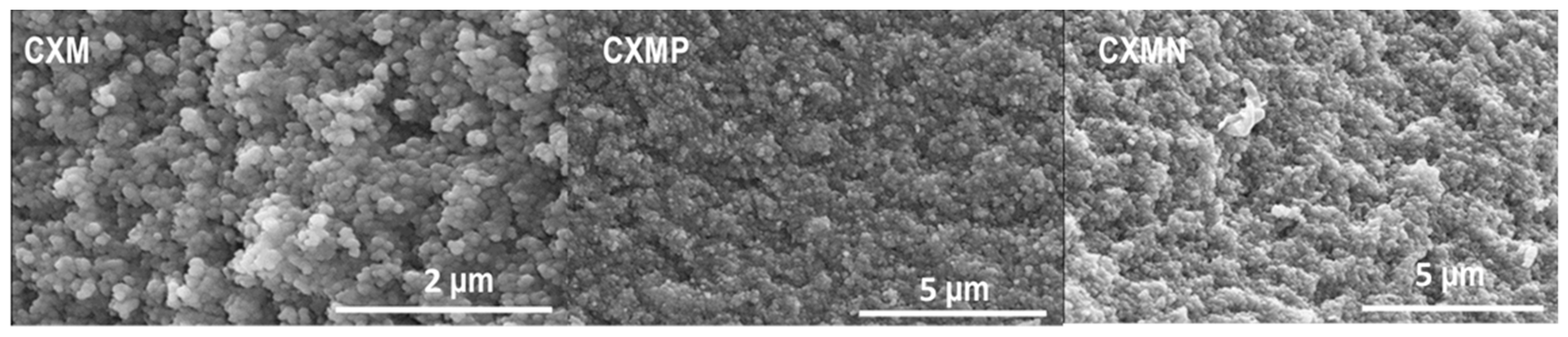 Dual-Purpose Materials Based on Carbon Xerogel Microspheres (CXMs) for Delayed Release of Cannabidiol (CBD)