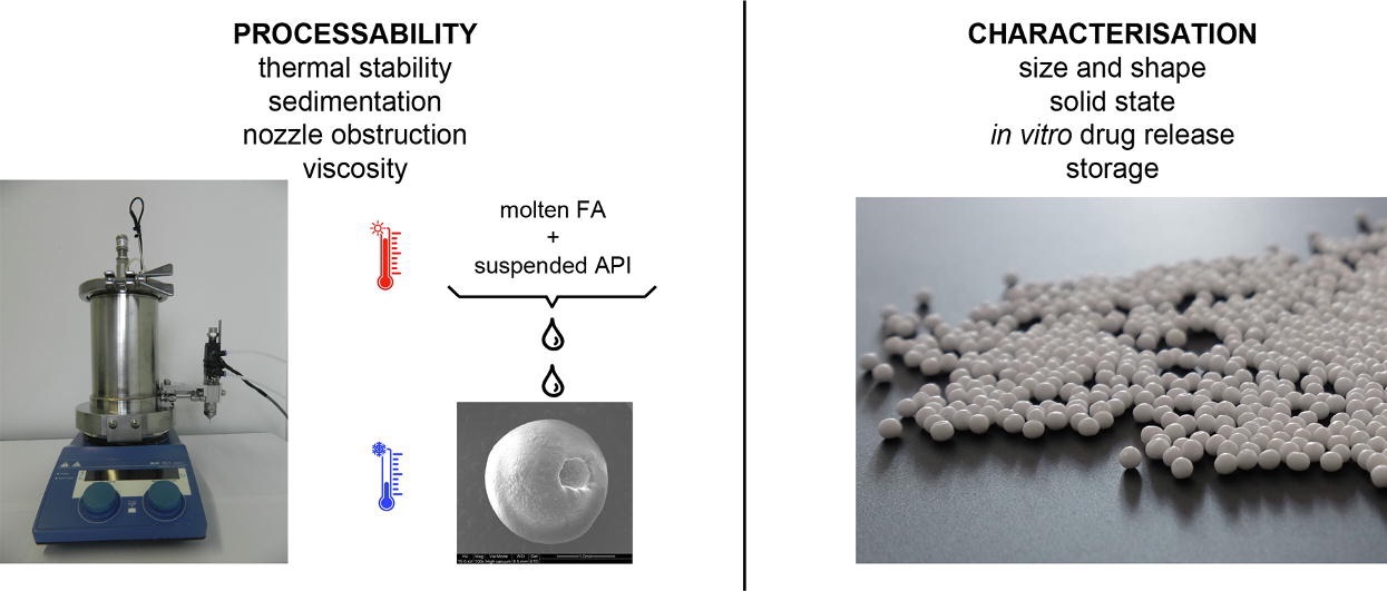 Processability and Characterisation of api/fatty acid suspensions