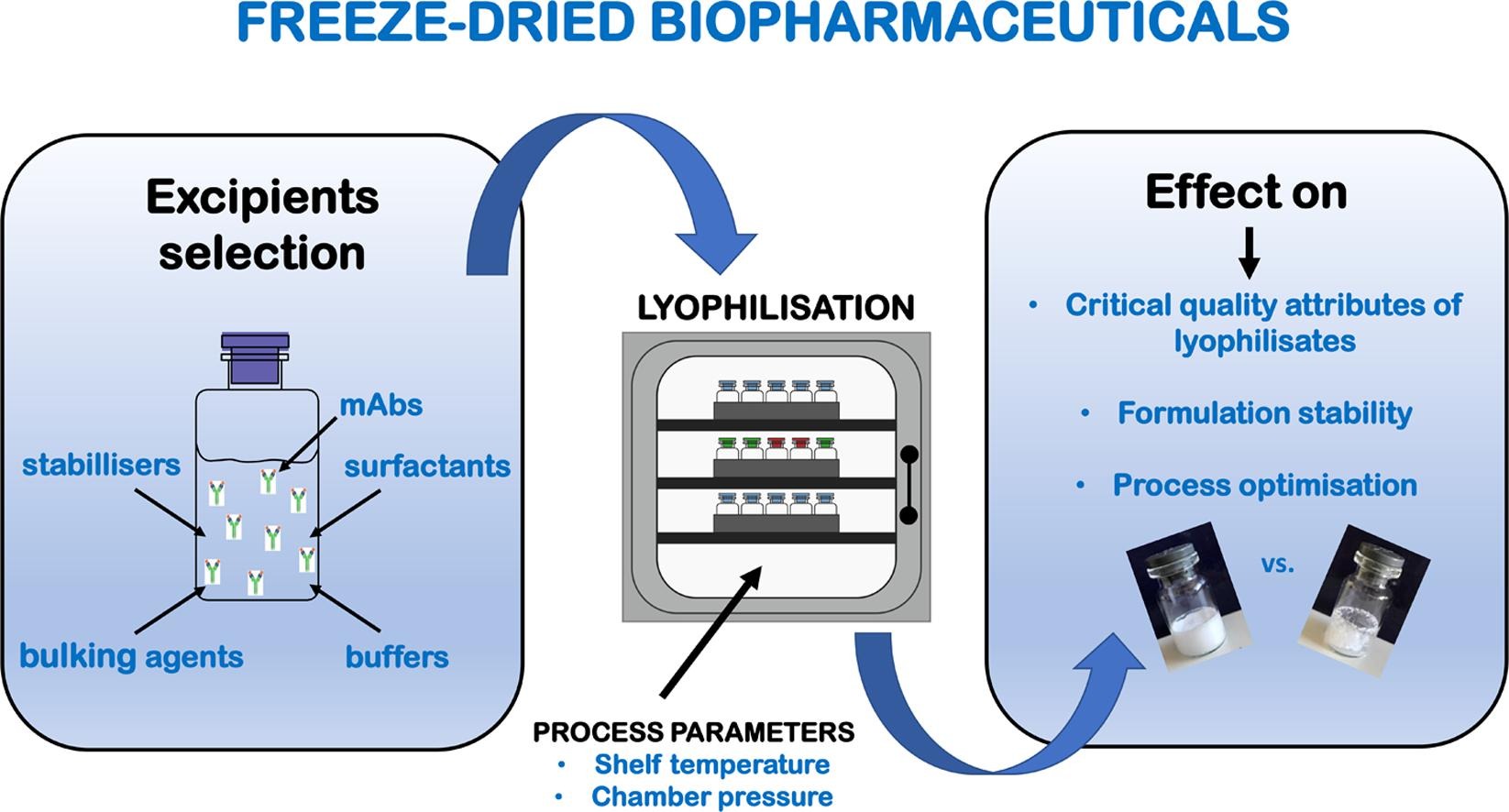 Excipients in freeze-dried biopharmaceuticals