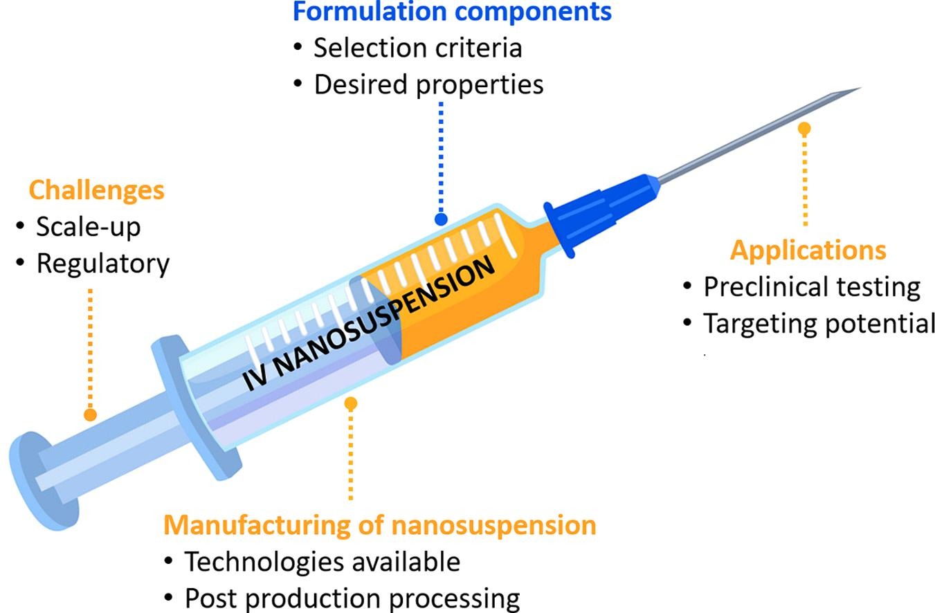 Formulation aspects of intravenous nanosuspensions