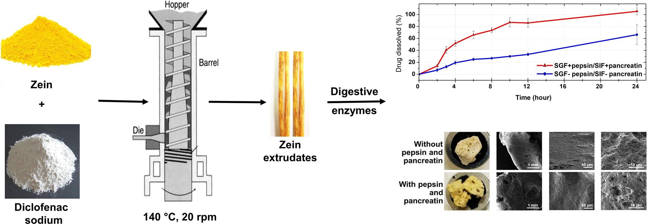 Hot melt extruded zein for controlled delivery of diclofenac sodium