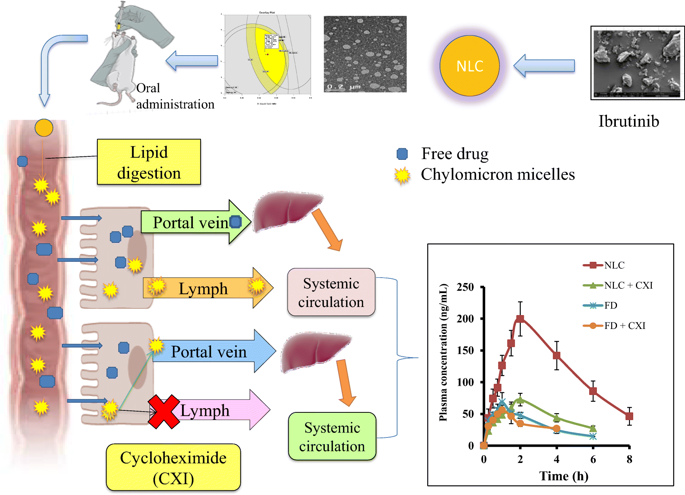Graphical abstract about QbD aided development of ibrutinib-loaded nanostructured lipid carriers aimed for lymphatic targeting: evaluation using chylomicron flow blocking approach