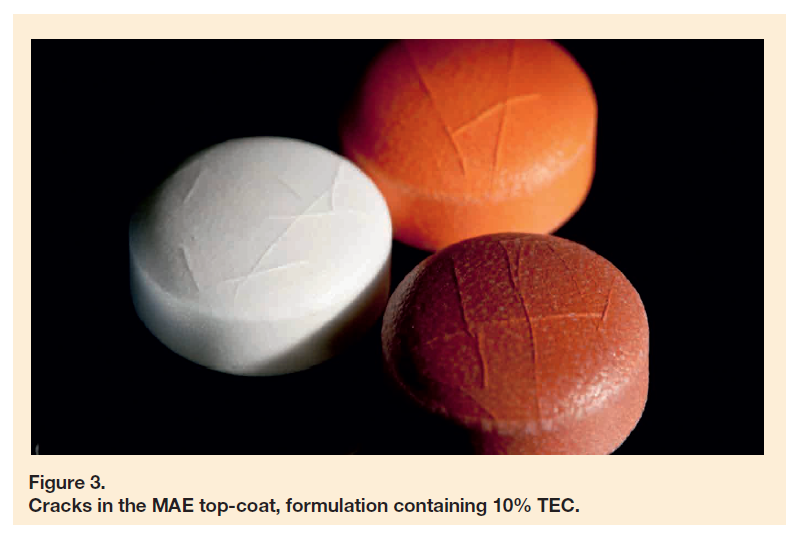 Cracks in the MAE top-coat, formulation containing 10 % TEC