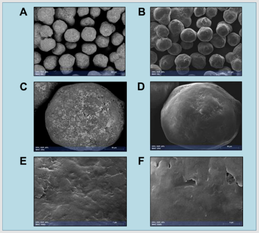 SEM images of DPH-layered pellets coated with Kollicoat®