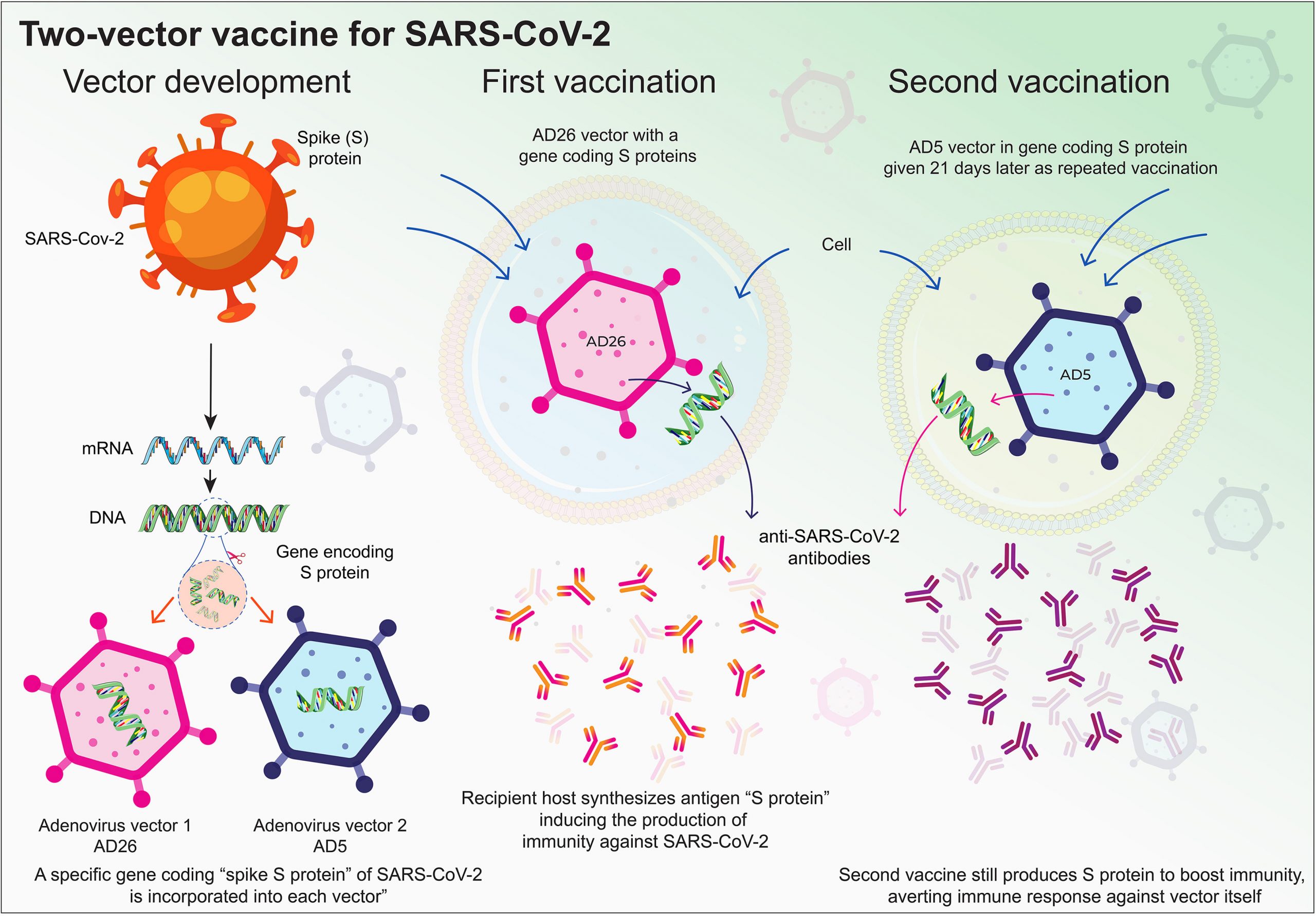Nanocarrier Vaccines for SARS-CoV-2