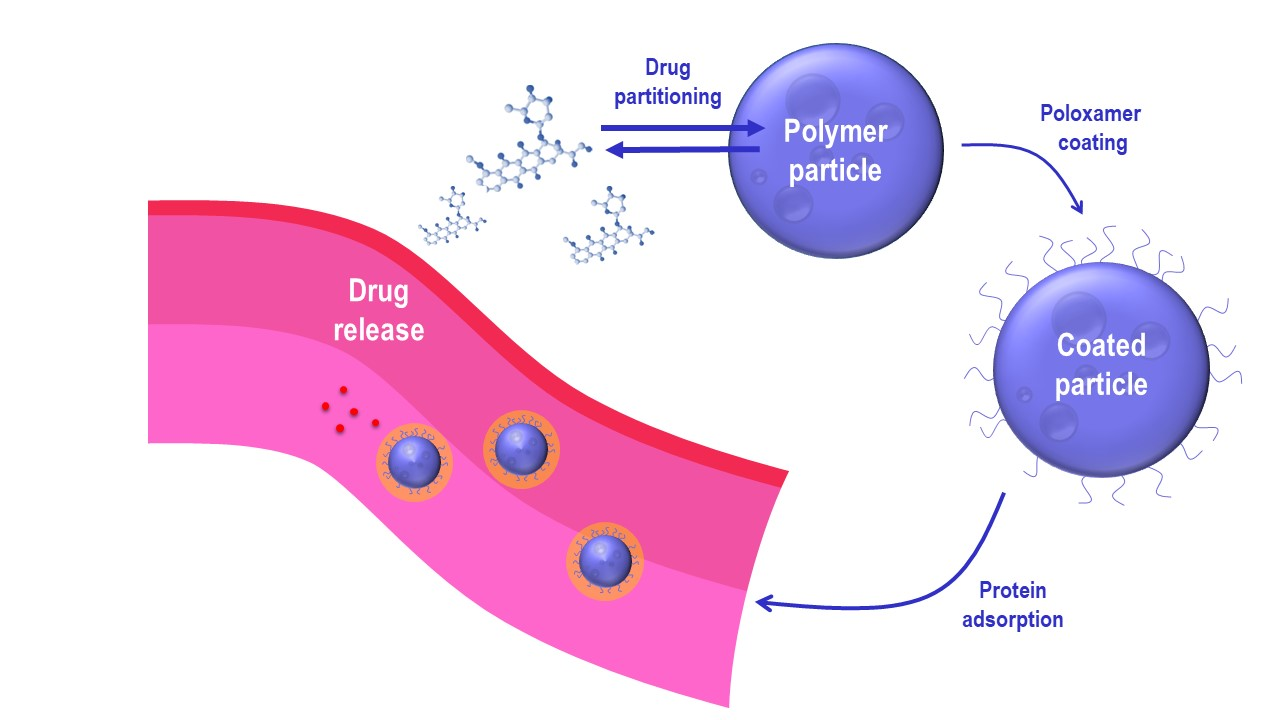 Drug Release and Targeting of Lipid-Like Polymer Nanoparticles