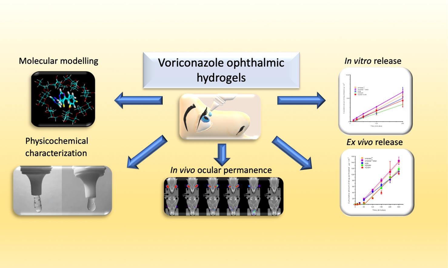 In situ forming and mucoadhesive ophthalmic voriconazole/HPβCD hydrogels for the treatment of fungal keratitis