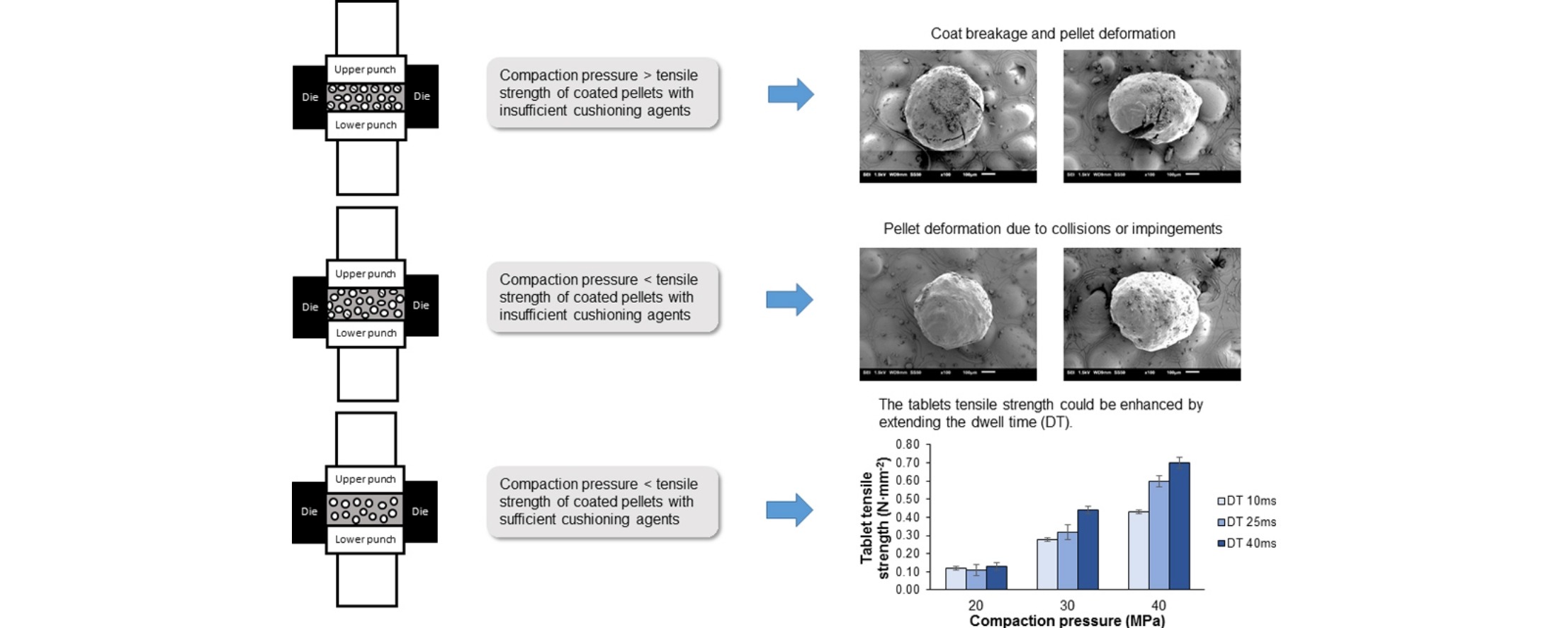 graphical abstract of Formulation and process strategies to minimize coat damage for compaction of coated pellets in a rotary tablet press: A mechanistic view