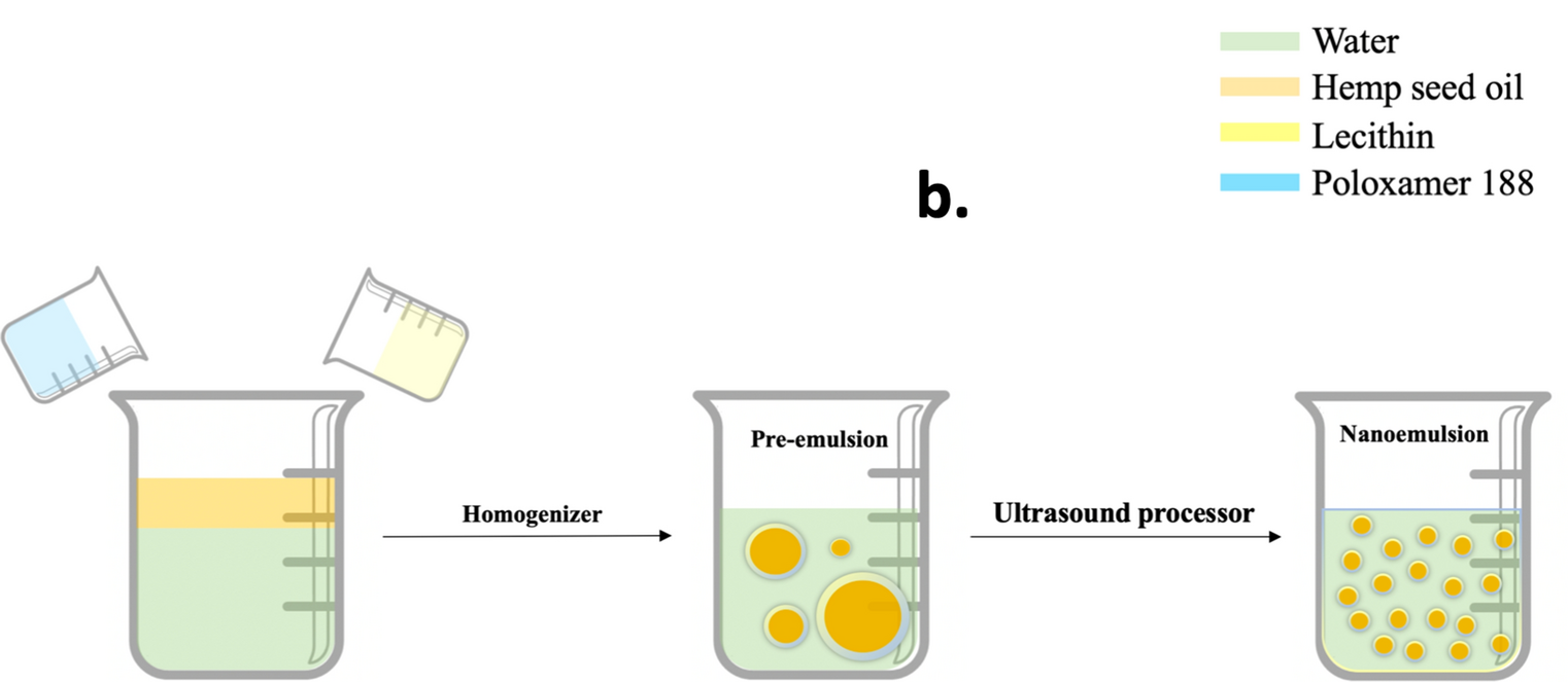 Optimal ultrasonication process time remains constant for a specific