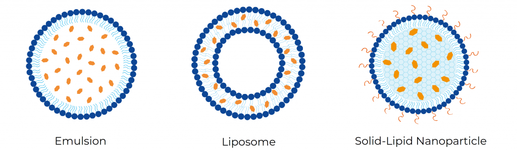 Figure1_Lipid-based nanoparticles