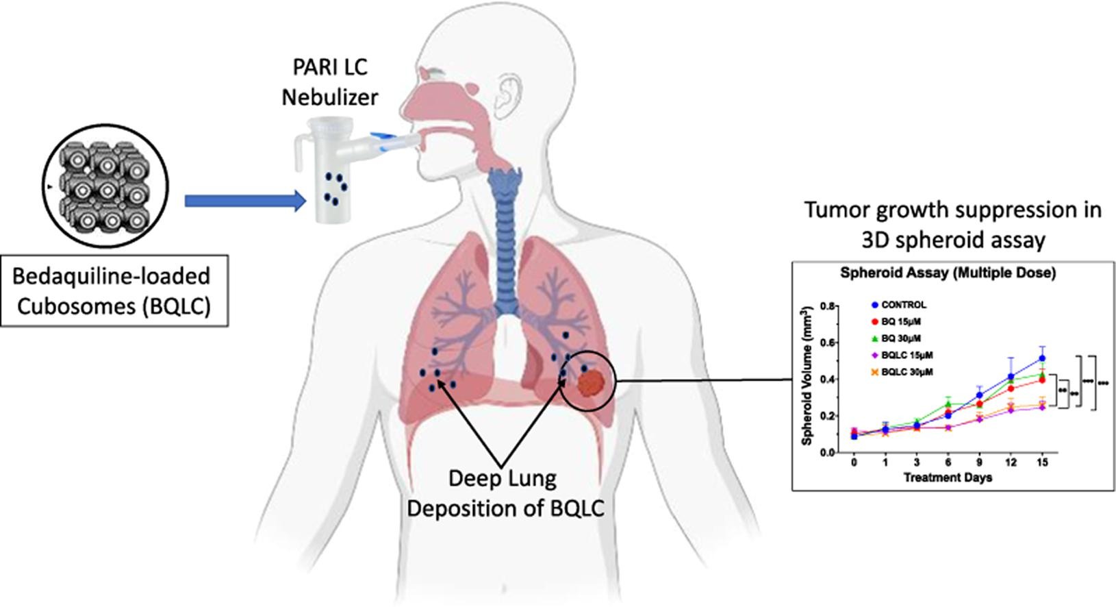 Inhalable bedaquiline-loaded cubosomes for the treatment of non-small cell lung cancer (NSCLC)