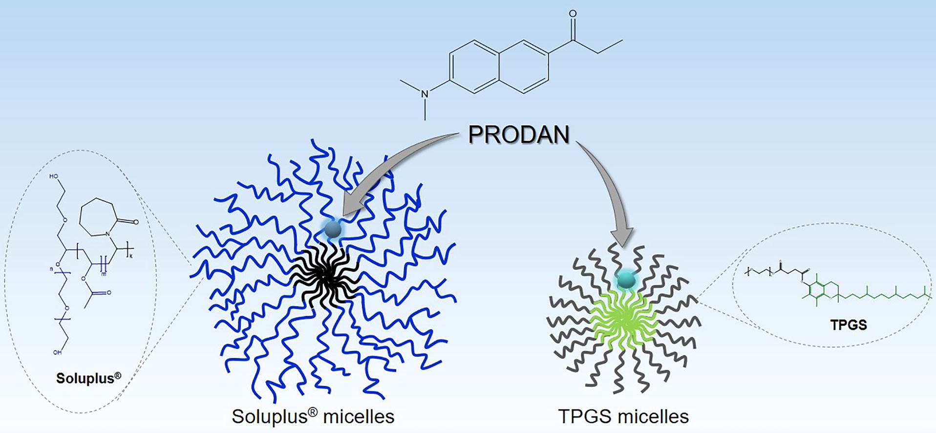graphical abstract of Monitoring the microenvironment inside polymeric micelles using the fluorescence probe 6-propionyl-2-dimethylaminonaphthalene (PRODAN)