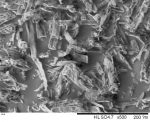ceolus kg 802 sem image