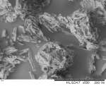 CEOLUS™ UF-702 sem image