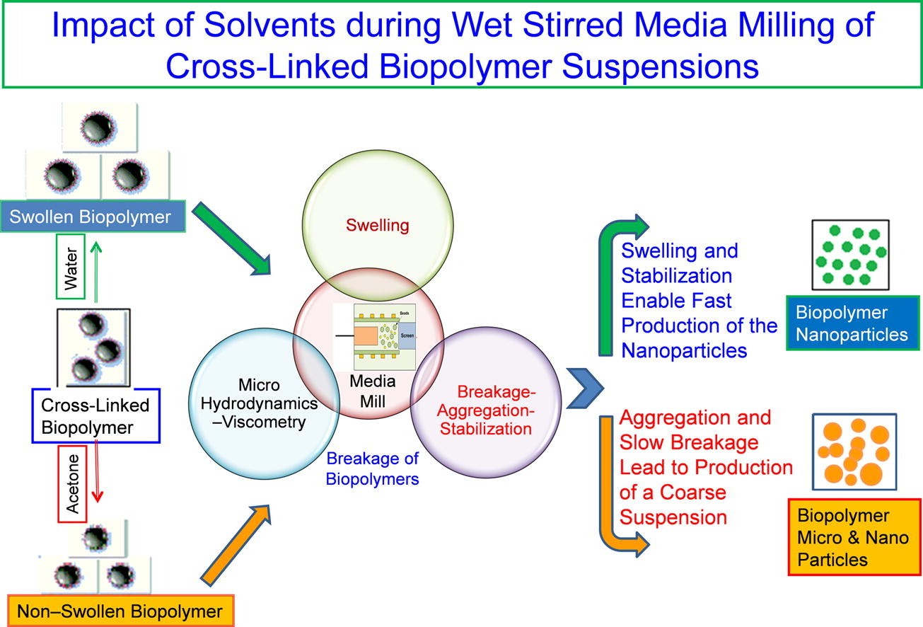graphical abstract of Impact of solvents during wet stirred media milling of cross-linked biopolymer suspensions