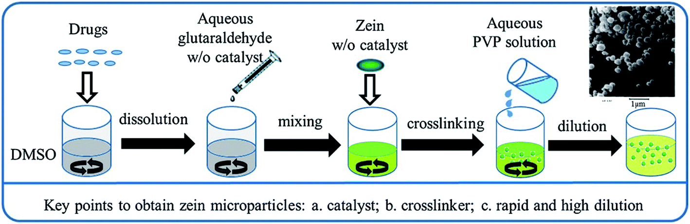 Fig. 1 Schematic representation of the antisolvent precipitation method for generating zein colloidal particles and factors affecting the particle properties, drug loading, and release profile. This figure has been adapted/reproduced from ref. 17 with permission from Elsevier, 2021.