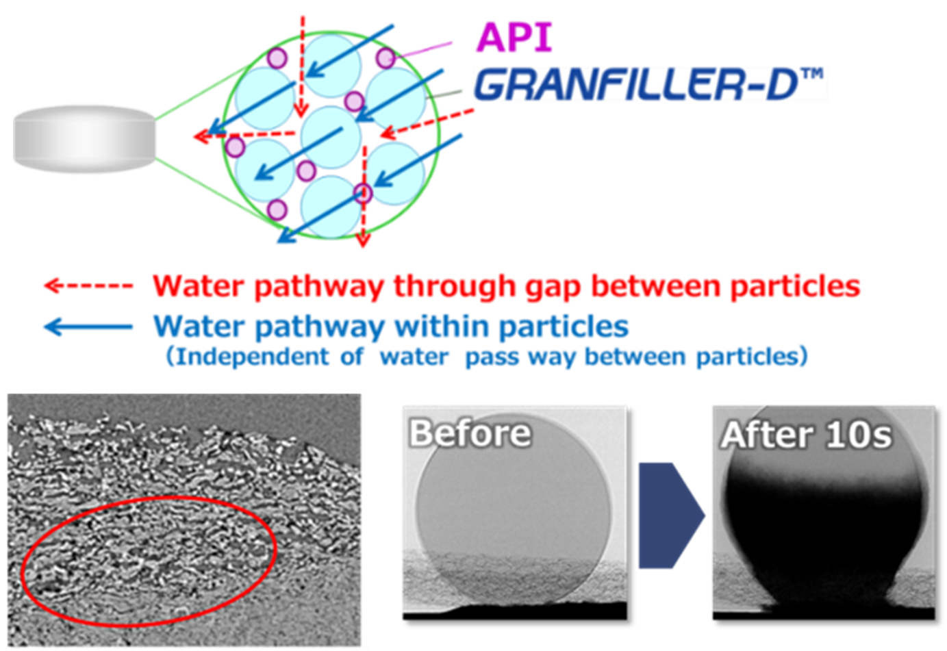 GRANFILLER-D™ Water Absorption Behavior and Disintegration Mechanism