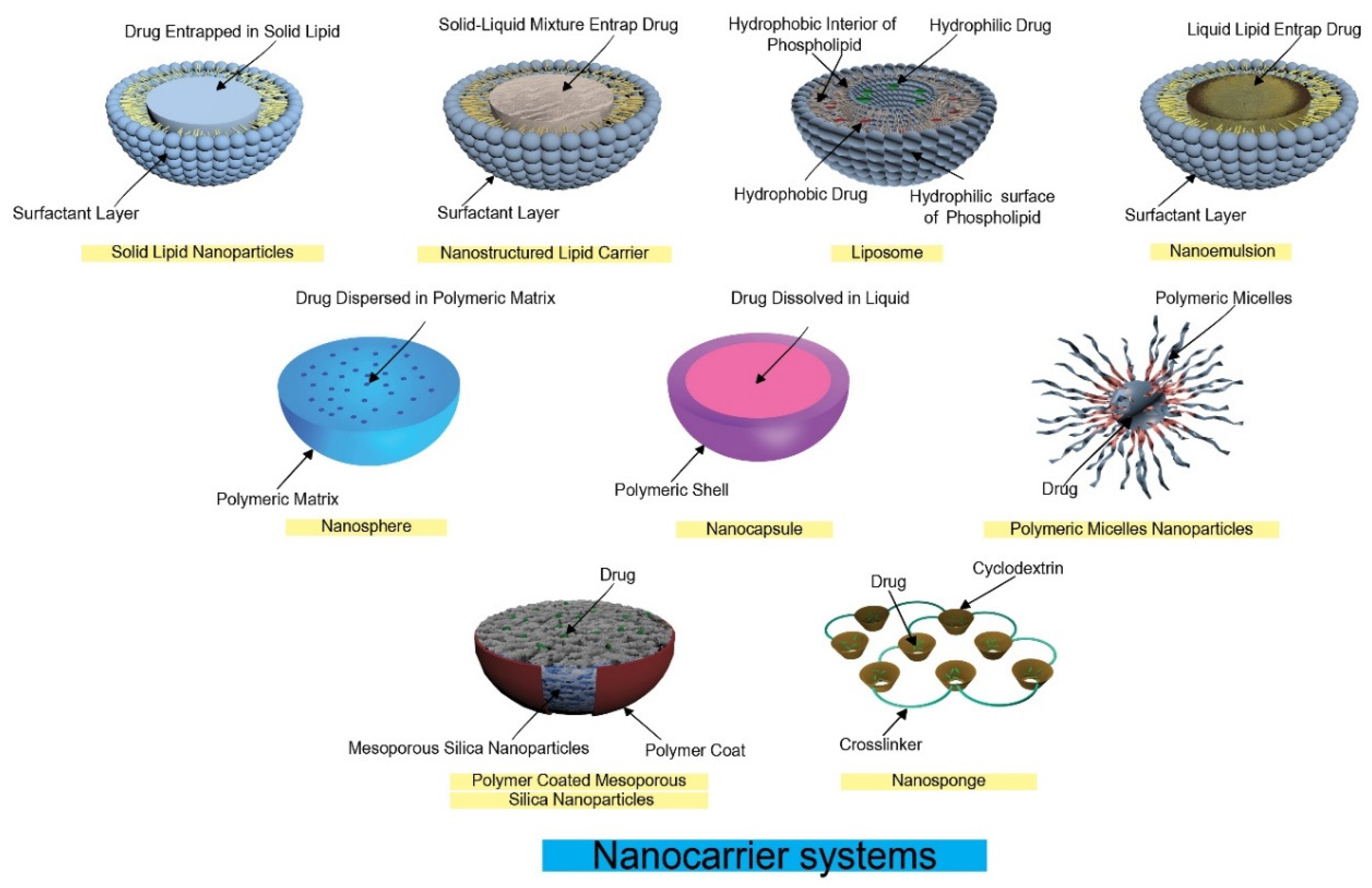 Different nanocarrier systems used for taste masking