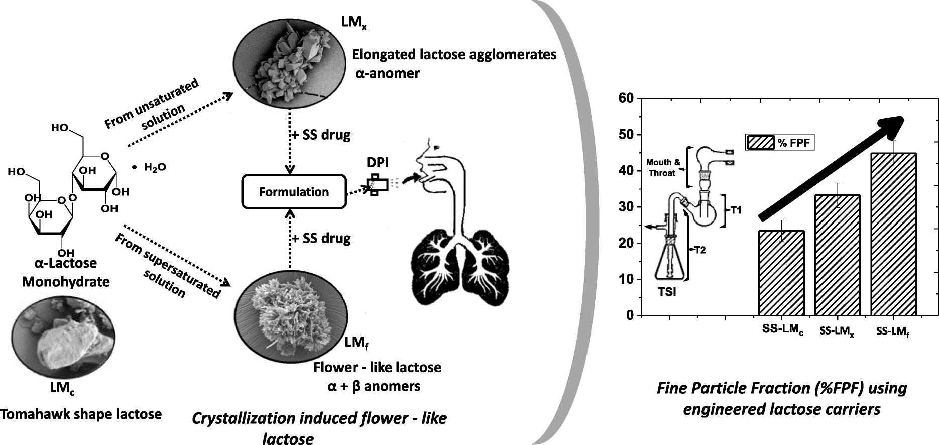 Crystallization induced flower-like lactose as potential carriers for dry powder inhaler application