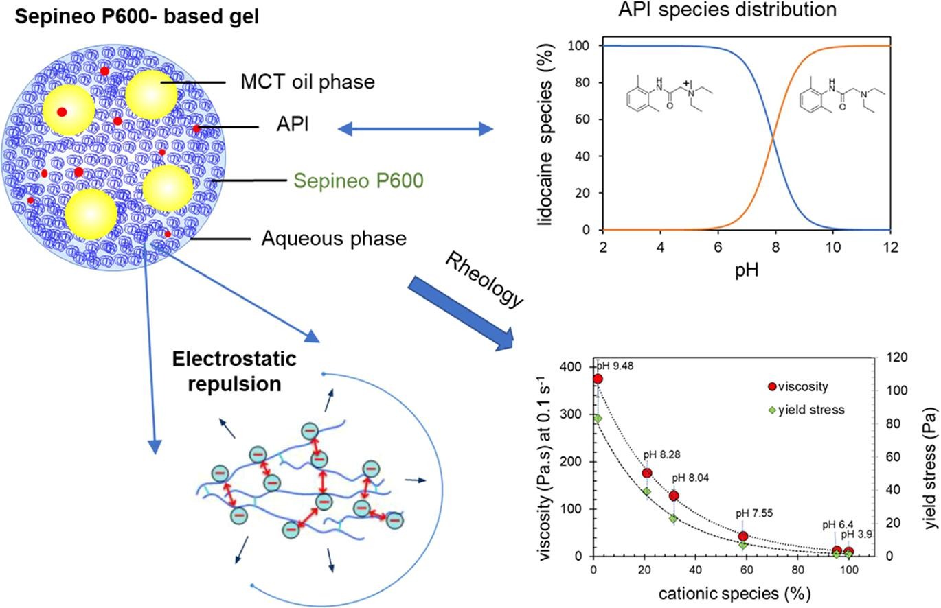 API-polymer interactions in Sepineo P600 based topical gel formulation- impact on rheology
