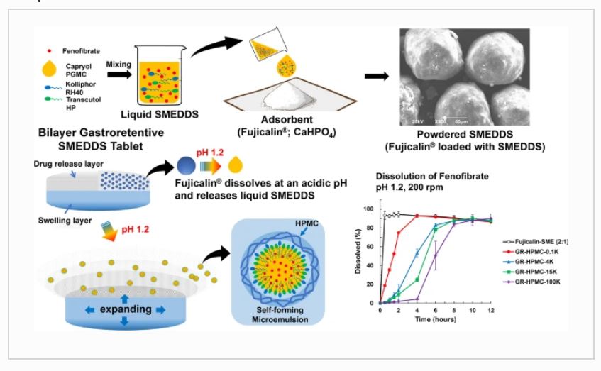 Gastroretentive Sustained-Release Tablets Combined with a Solid Self-Micro-Emulsifying Drug Delivery System Adsorbed onto Fujicalin®