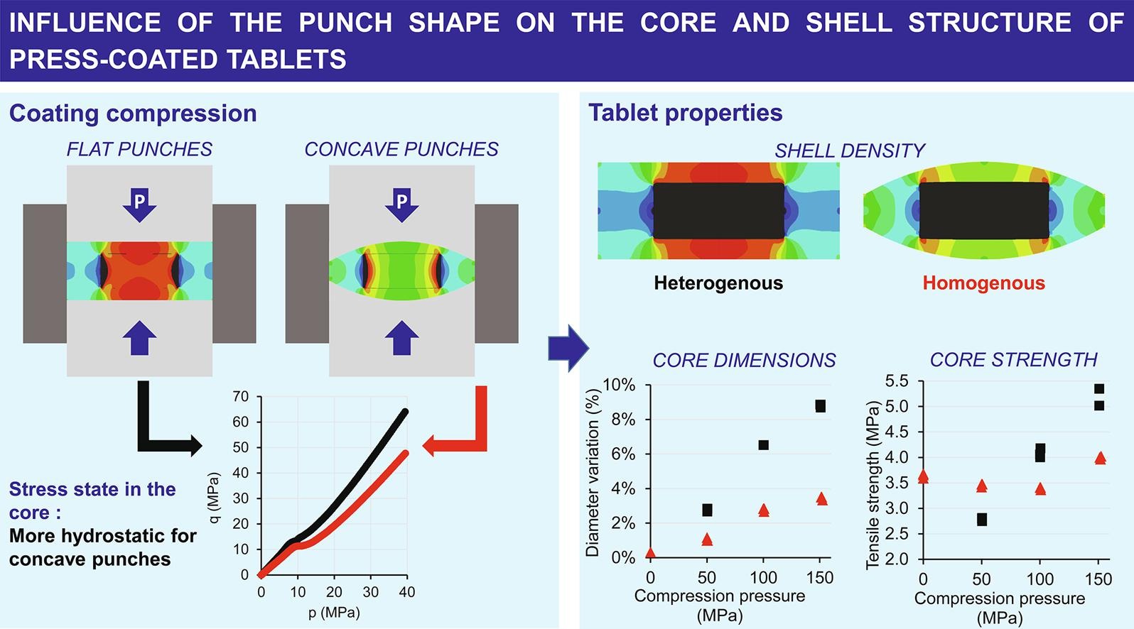 Influence of the punch shape on the core and shell structure of press-coated tablets