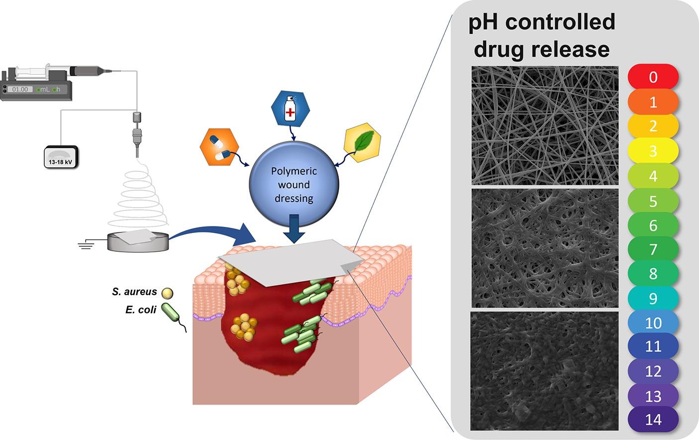 Pharmacokinetic control on the release of antimicrobial drugs from pH-responsive electrospun wound dressings