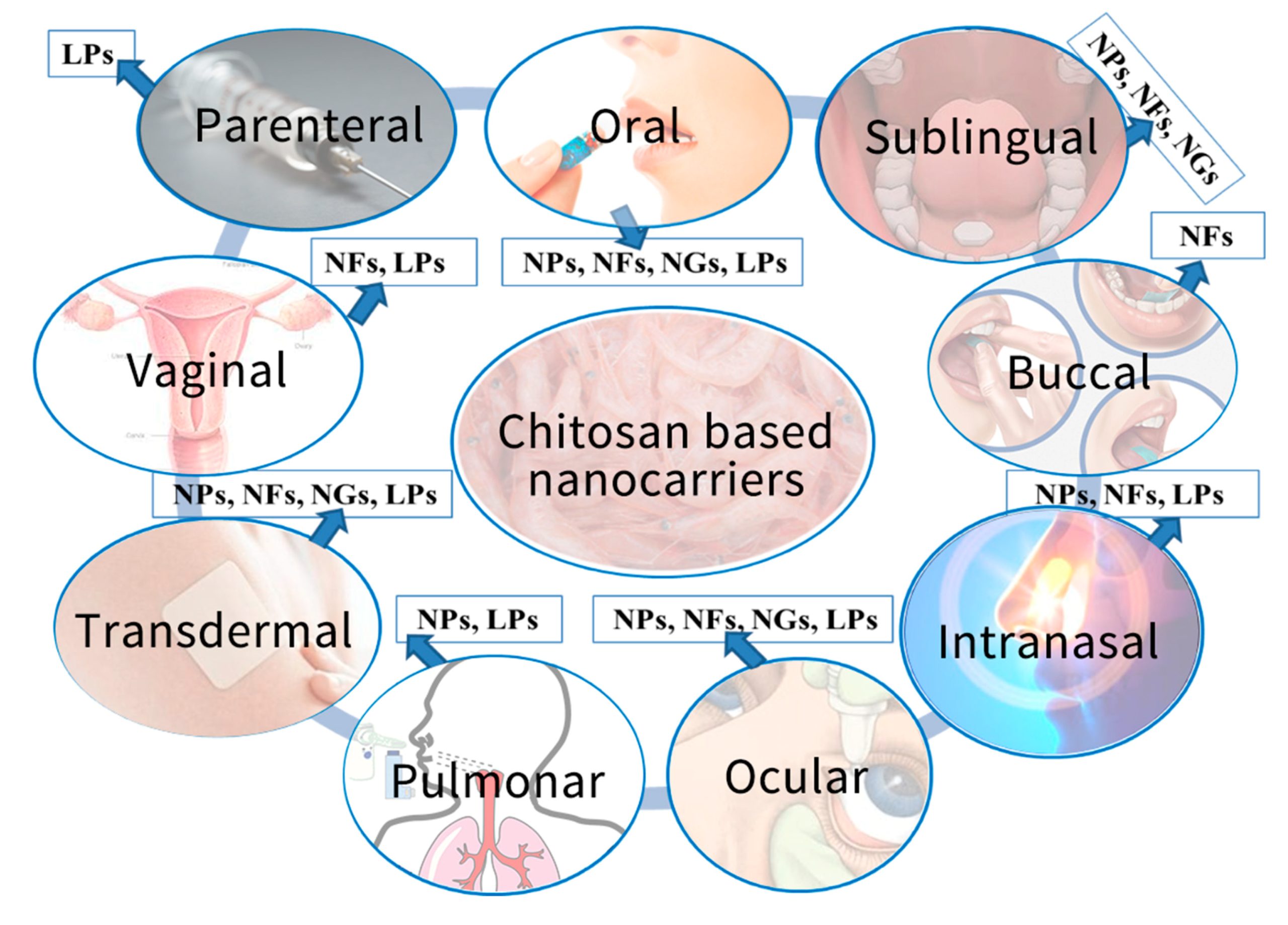 Recent Biomedical Approaches for Chitosan Based Materials as Drug Delivery Nanocarriers
