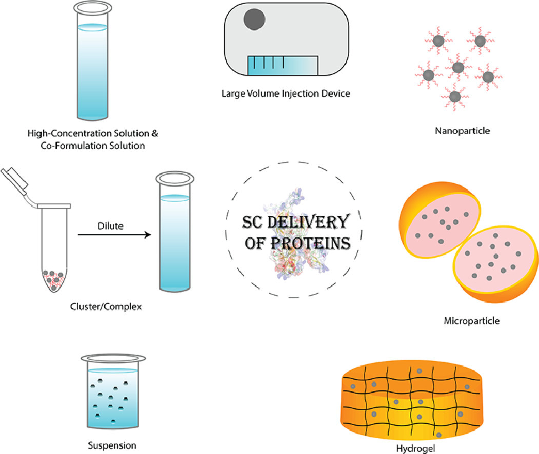 Advanced Formulations/Drug Delivery Systems for Subcutaneous Delivery of Protein-Based Biotherapeutics