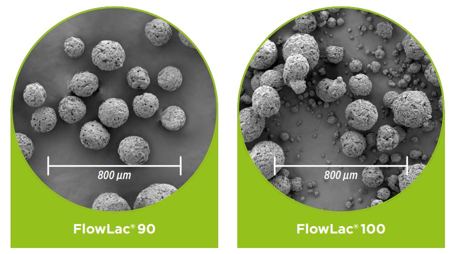 FlowLac_Technical brochure by MEGGLE_SEM images of MEGGLEs FlowLac by ZEISS Ultra 55 FESEM