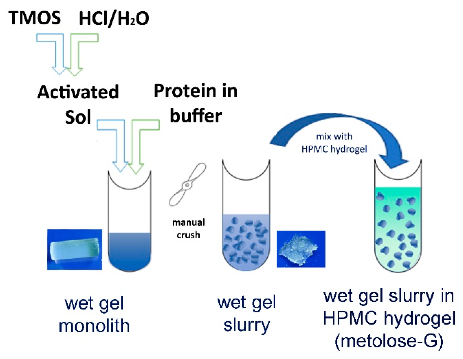 Semisolid Wet Sol–Gel Silica/Hydroxypropyl Methyl Cellulose Formulation for Slow Release of Serpin B3 Promotes Wound Healing In Vivo