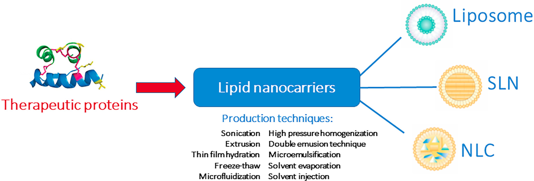 An insight on lipid nanoparticles for therapeutic proteins delivery