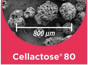 Cellactose_MEGGLE’s co-processed lactose grades for direct compression_SEM