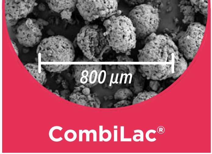 CombiLac® - MEGGLE’s co-processed lactose grades for direct compression_Figure 5_SEM