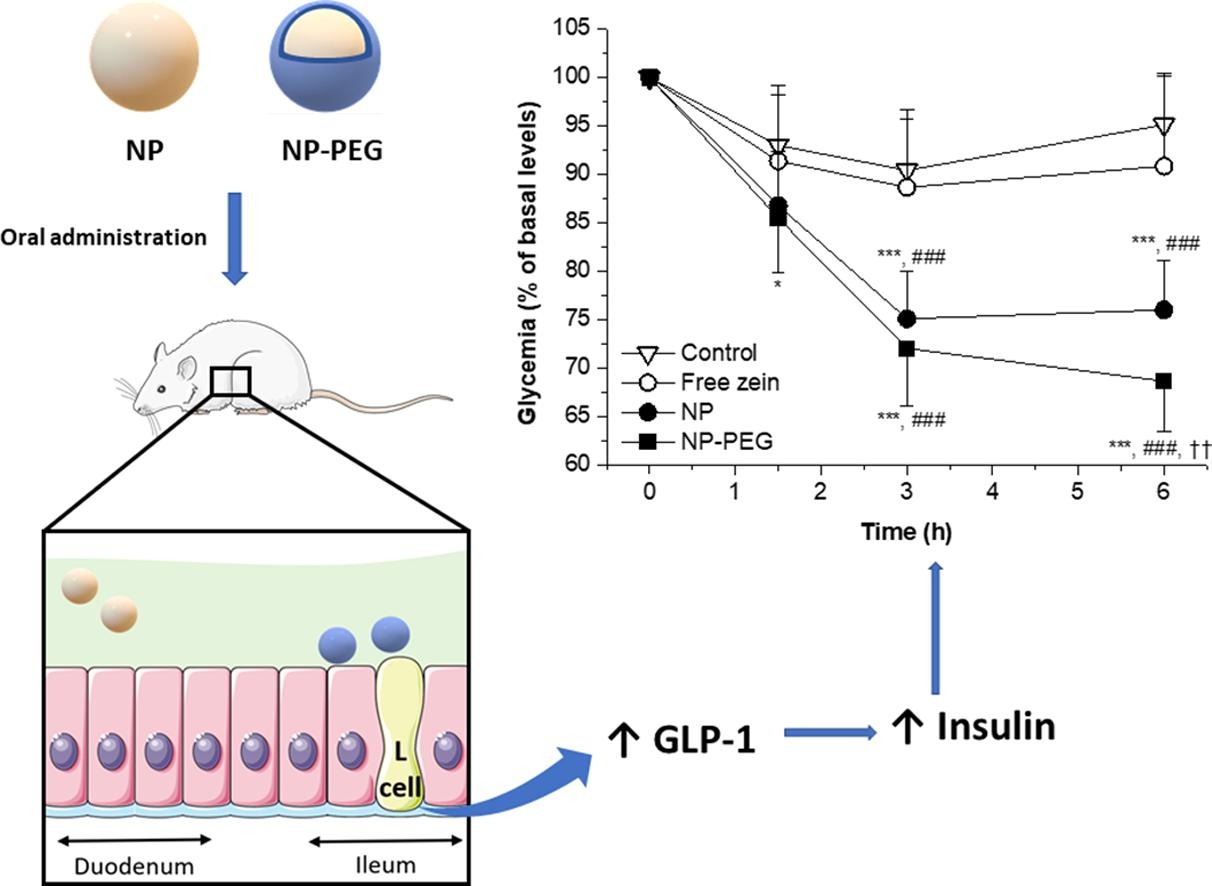 Oral administration of zein-based nanoparticles reduces glycemia and improves glucose tolerance in rats