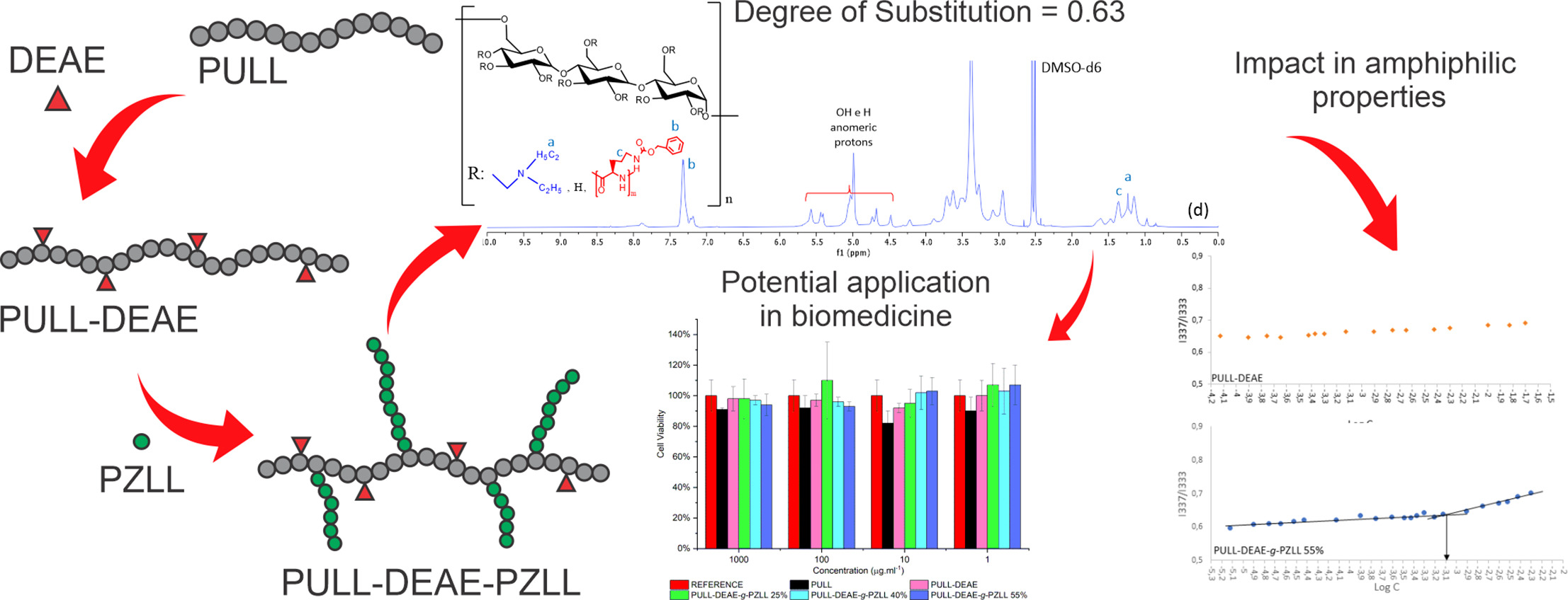 Preparation and characterization of cationic pullulan-based polymers with hydrophilic or amphiphilic characteristics for drug delivery