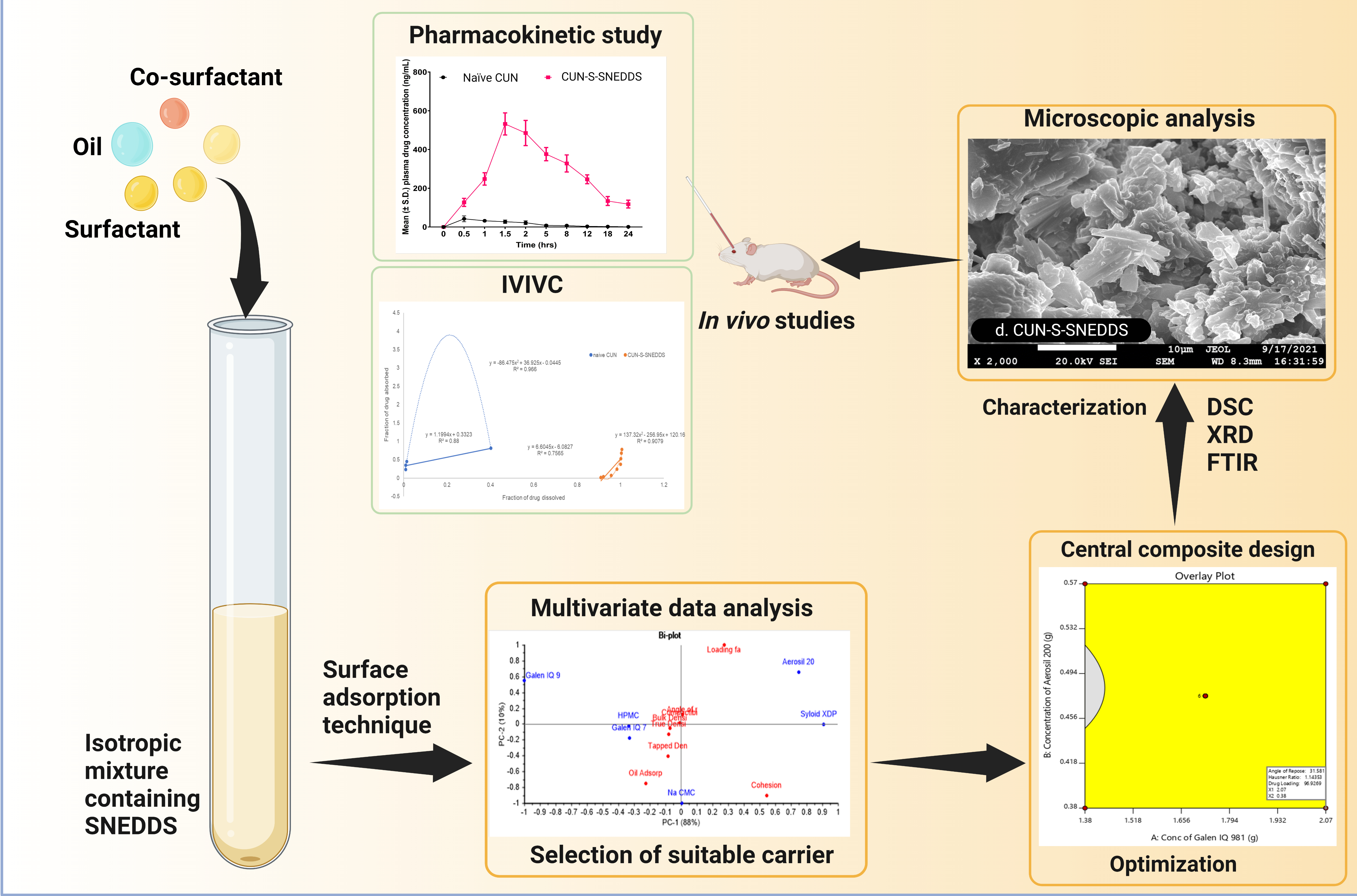 Multivariate Data Analysis and Central Composite Design-Oriented Optimization of Solid Carriers for Formulation of Curcumin-Loaded Solid SNEDDS_Dissolution and Bioavailability Assessment