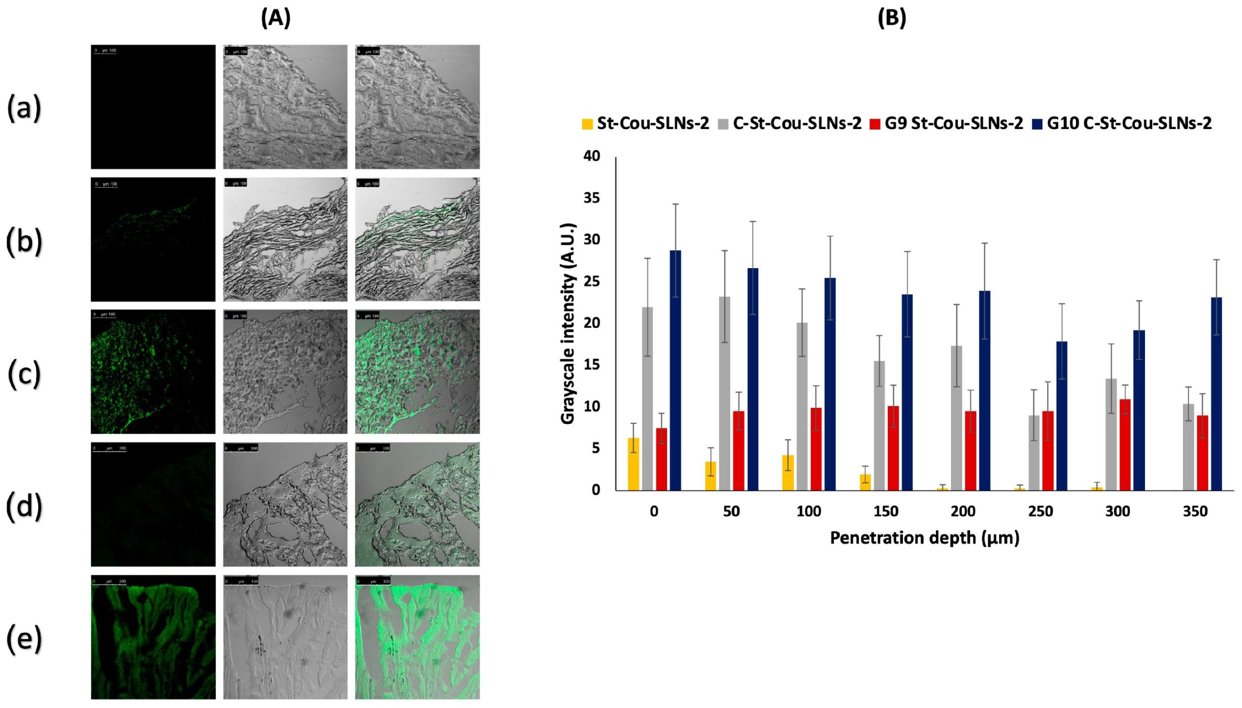 Quercetin Loaded Cationic Solid Lipid Nanoparticles in a Mucoadhesive In Situ Gel—A Novel Intravesical Therapy Tackling Bladder Cancer