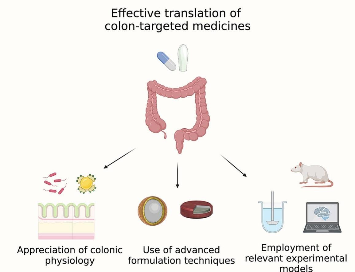 Colonic drug delivery: Formulating the next generation of colon-targeted therapeutics