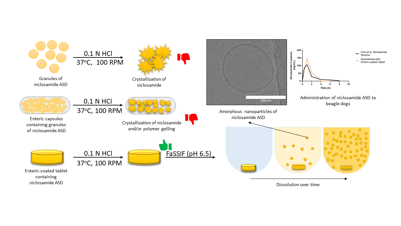 Oral Delivery of Niclosamide as an Amorphous Solid Dispersion That Generates Amorphous Nanoparticles during Dissolution