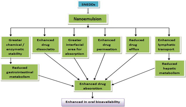 Self-nano Emulsifying Formulations: An Encouraging Approach for Bioavailability Enhancement and Future Perspective