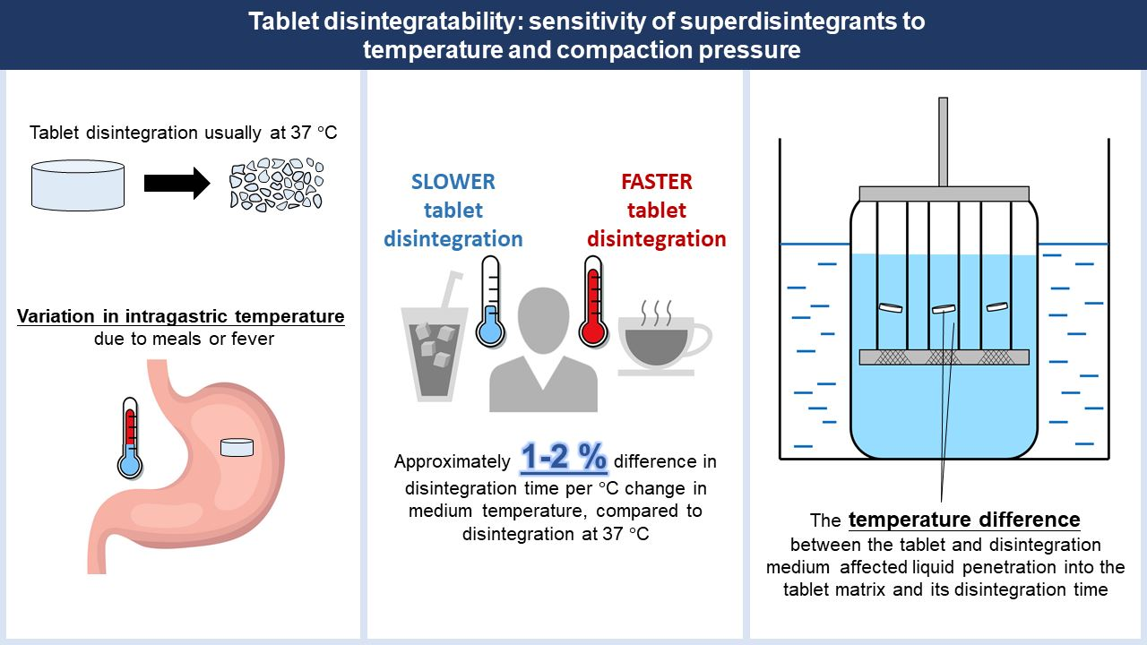 Tablet Disintegratability: Sensitivity of Superdisintegrants to Temperature and Compaction Pressure