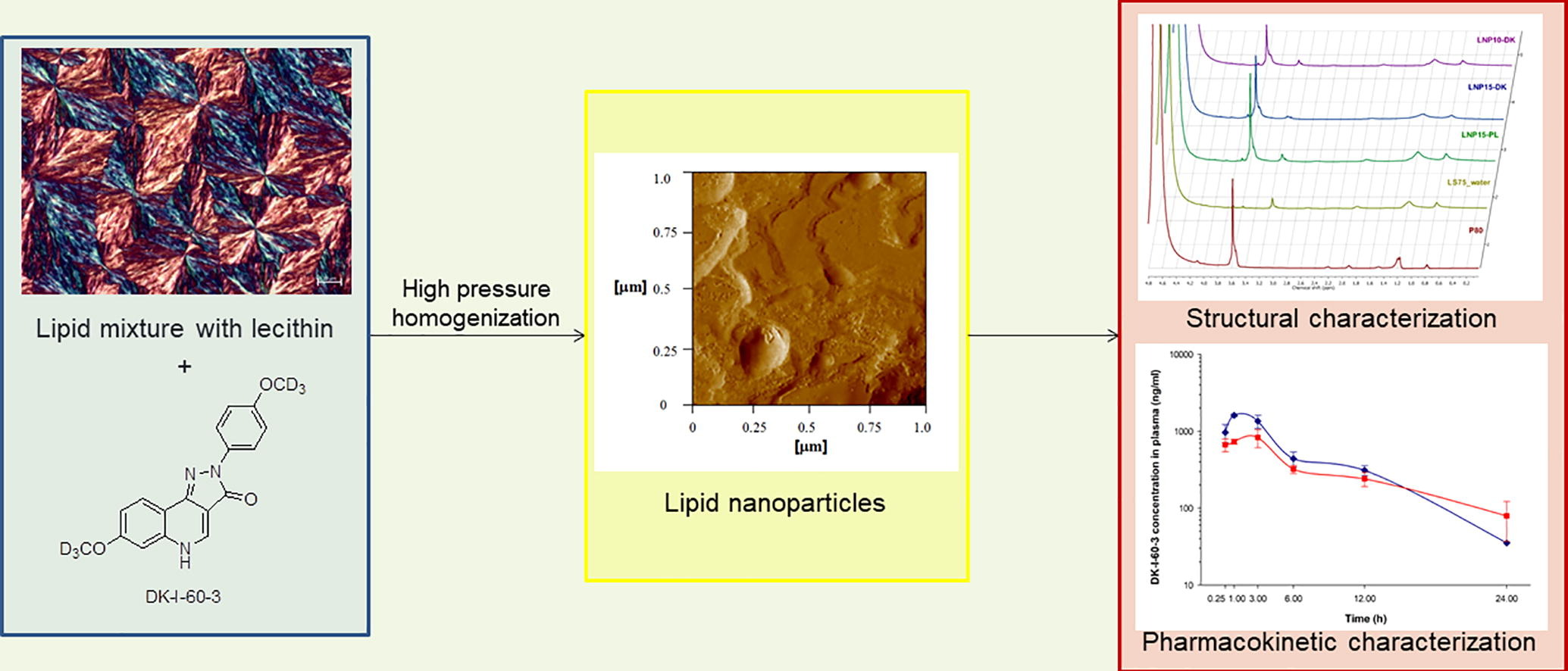 High amount of lecithin facilitates oral delivery of a poorly soluble pyrazoloquinolinone ligand formulated in lipid nanoparticles: physicochemical, structural and pharmacokinetic performances