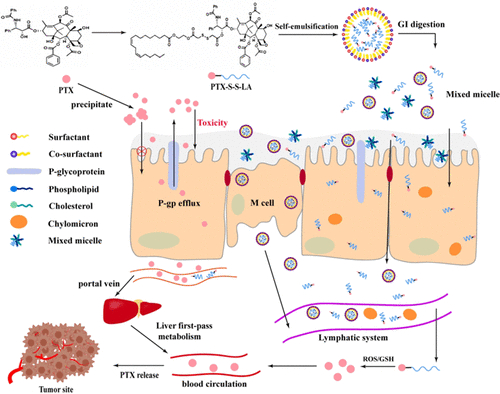 Incorporating a Lipophilic Disulfide-Bridged Linoleic Prodrug into a Self-Microemulsifying Drug Delivery System to Facilitate Oral Absorption of Paclitaxel