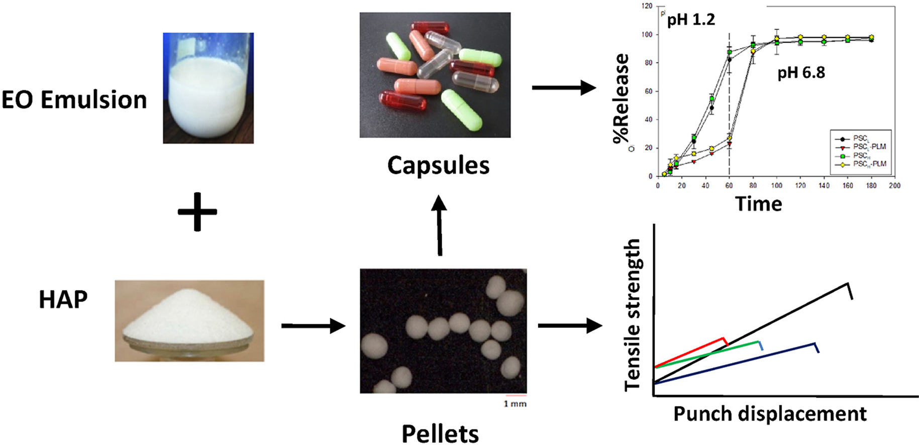 Preparation, characterization, and in vitro release of microencapsulated essential oil hydroxyapatite pellets filled into multifunctional capsules